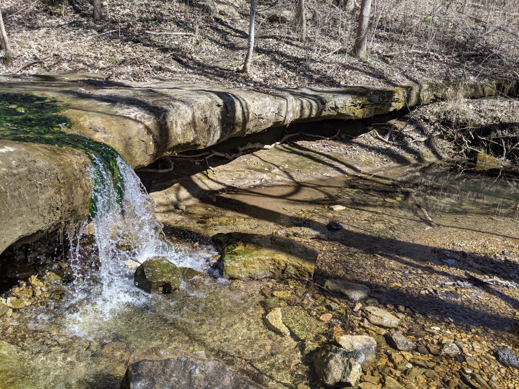 Myra and Sonya Glassberg Family Conservation Area